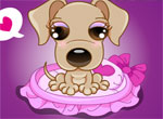 IgraFlash31[1]